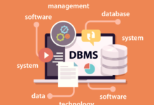 Efficient Database Management Services for Data Organization