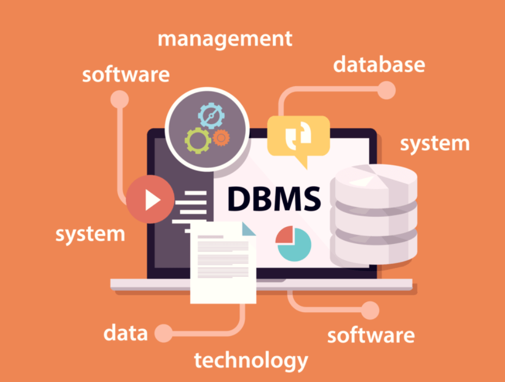 Efficient Database Management Services for Data Organization