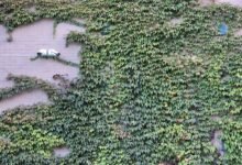 digital signal validation monitoring