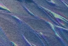 network activity verification algorithm