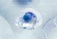 data analysis for identifiers