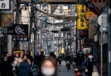 market trends and analysis