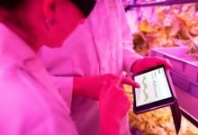 enhance your digital growth